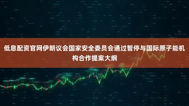 低息配资官网伊朗议会国家安全委员会通过暂停与国际原子能机构合作提案大纲