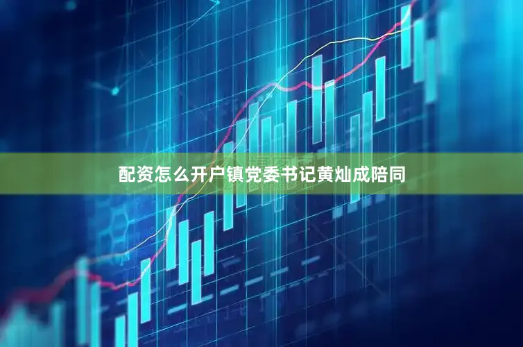 配资怎么开户镇党委书记黄灿成陪同