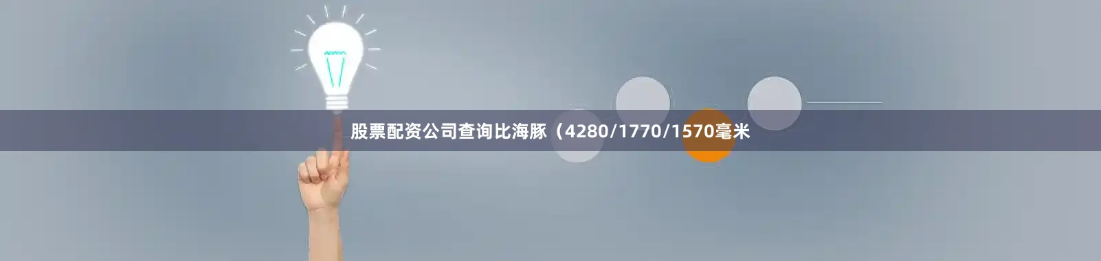 股票配资公司查询比海豚（4280/1770/1570毫米