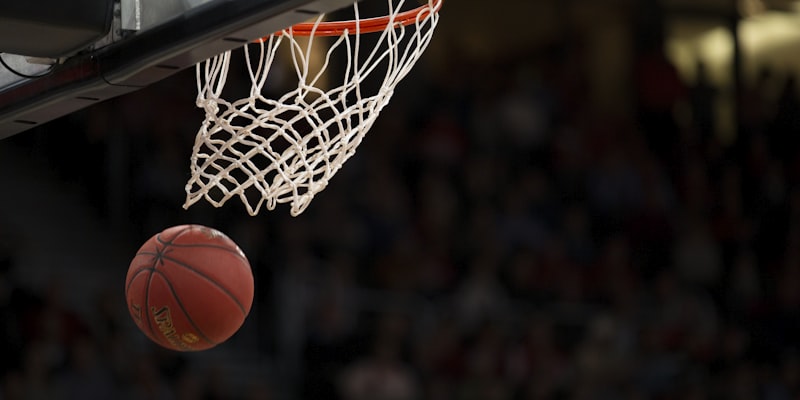 美国职业篮球联赛NBA官方标志